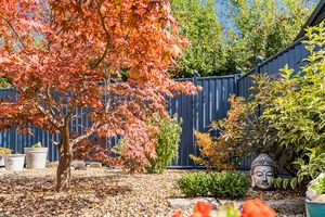 Rear Garden- click for photo gallery
